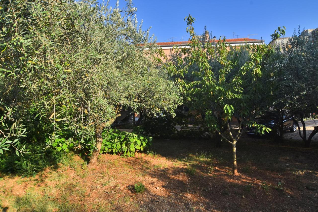 Apartments Edita Ζαντάρ Εξωτερικό φωτογραφία